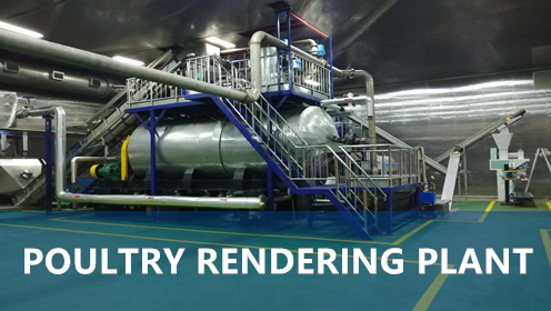Poultry Rendering Plant